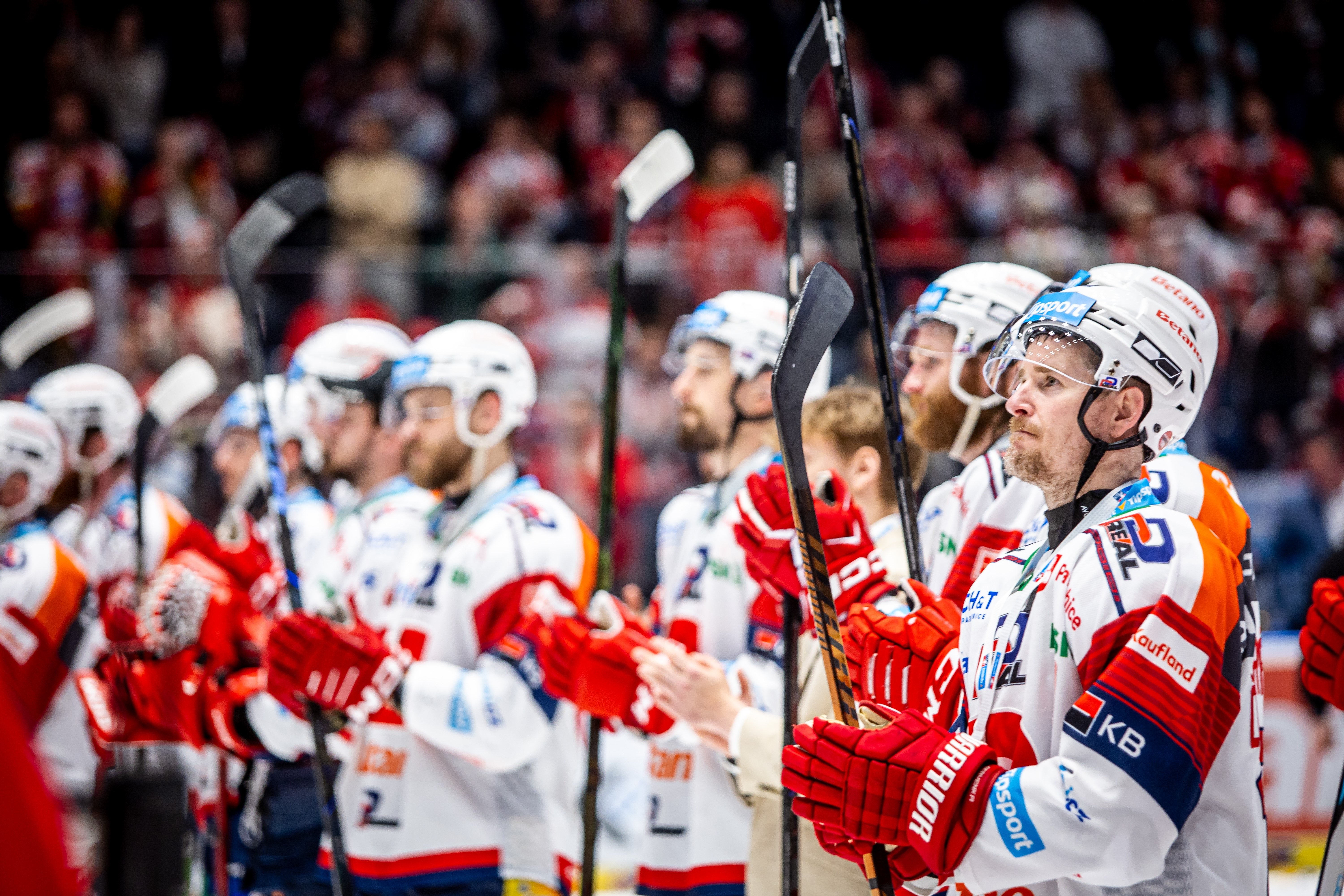 www.hcdynamo.cz