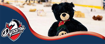 Teddy bear toss