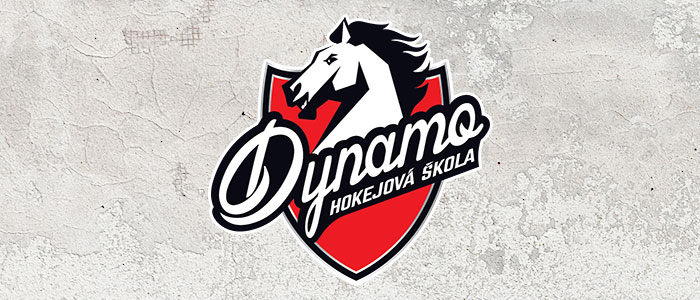 Plná hala dětí: v sobotu startuje již pátá hokejová škola